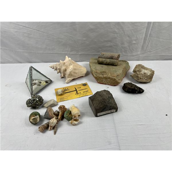 Rocks & Minerals