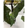 Image 2 : Faux Hanging Plant