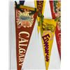 Image 4 : Destination Pennants
