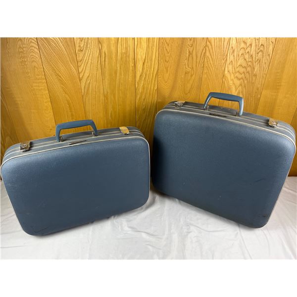 Futurama Luggage