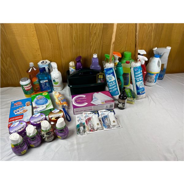 Household Cleaning Lot