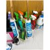 Image 4 : Household Cleaning Lot