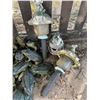 Image 3 : Garden Frogs