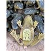 Image 5 : Garden Frogs