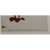 Image 3 : Looney Tunes Road Runner 6" x 8" Sericel