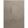 Image 2 : Warner Bros. Tweety Bird Animation Drawing