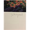 Image 2 : Schimmel Signed Dolphins Desert Lithograph 120/300
