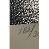 Image 2 : Schimmel Signed Whale Serigraph 182/300