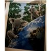 Image 1 : William Schimmel Koala & Earth Signed Serigraph