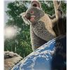 Image 4 : William Schimmel Koala & Earth Signed Serigraph