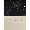Image 3 : William Schimmel Signed Serigraph "Conception" 213/300