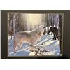 Image 1 : White & Black Wolves in Winter Photographic Print
