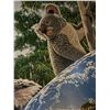 Image 3 : William Schimmel Signed Koala Serigraph 261/395