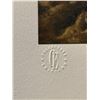 Image 6 : Schimmel Signed Lion Serigraph 306/395