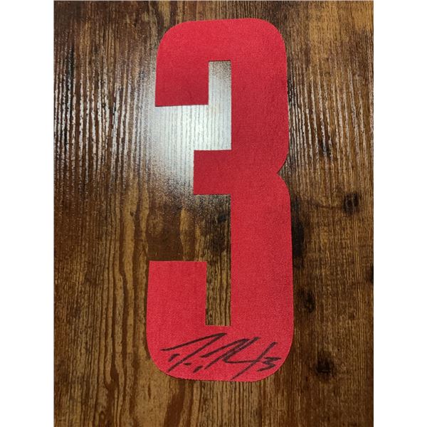 Steve Chiasson Signed Red Wings #3 Jersey Number