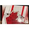 Image 5 : Sidney Crosby 2010 Team Canada Sealed Figure