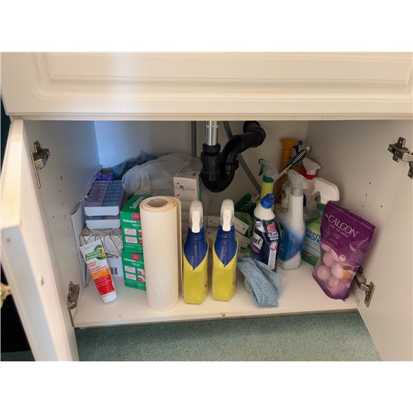 Household Cleaning Supplies, Personal Care, and Assorted Medications