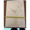 Image 3 : J. Northey 2004 Pencil Drawing Bird on Paper, Framed, 12x16 in, Gallery on Main