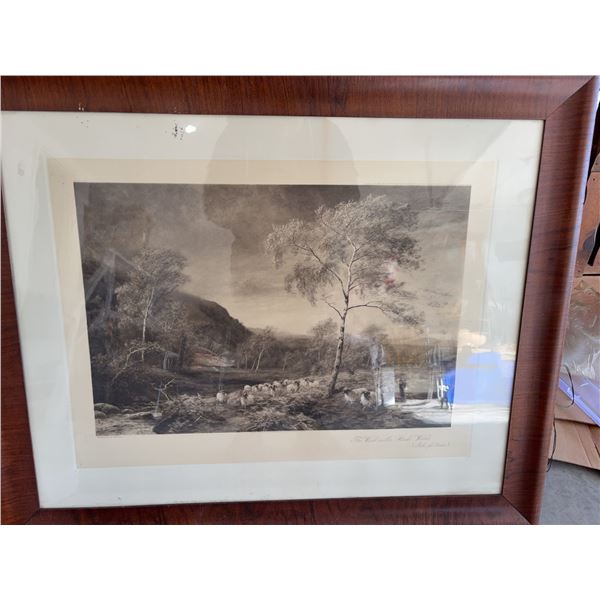 The Wind in the Birch Woods Isle of Arran Print Framed Signed by Artist MacWhir
