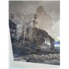 Image 9 : The Wind in the Birch Woods Isle of Arran Print Framed Signed by Artist MacWhir