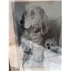 Image 6 : Eunice Hutchison Signed Dog Drawing, Framed, Dated April 22, 1940