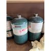 Image 5 : Garage Shelf Lot With Propane Canisters, Cleaning Supplies, Metal Ammo Box