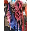 Image 2 : Garage Tools and Supplies Including Hoses, Saws, Extension Cords and More