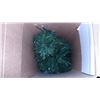 Image 3 : 32" FIBRE OPTIC CHRISTMAS TREE IN ORIGINAL BOX