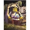 Image 1 : Shrek Mike Myers signed photo