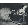 Image 1 : Porn Star Traci Lords signed photo