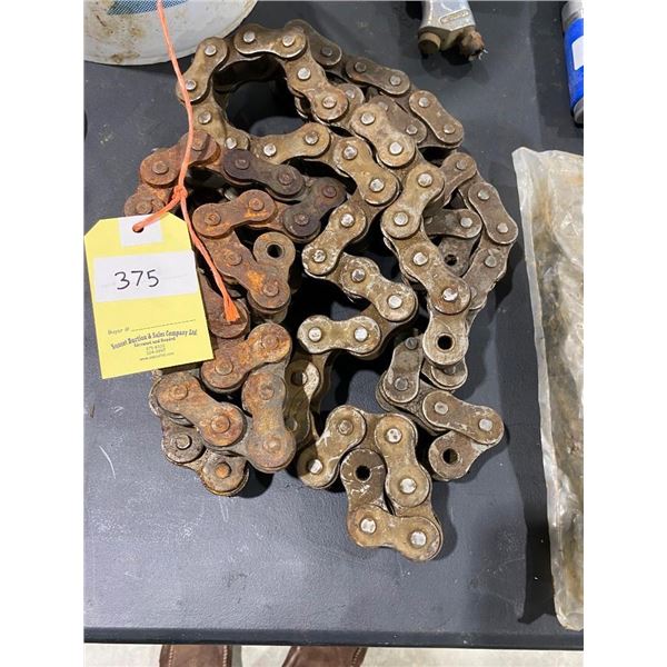 ASSORTED LINKS OF ROLLER CHAIN