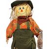 Image 3 : Stuffed Fabric Scarecrow and Wicker Owl Light with Artificial Flowers