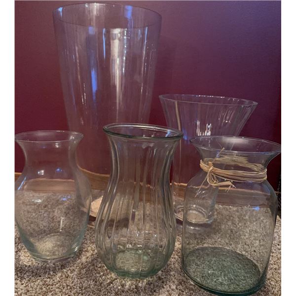 Clear Glass Flower Vases, Set of 5 Mixed Styles and Sizes