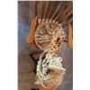 Image 1 : Handcrafted Macrame Plant Hangers in Cream-Coloured Yarn
