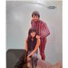 Image 5 : Vinyl Records Including Carpenters, Santana, Sly & More