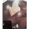 Image 7 : Vinyl Records Including Carpenters, Santana, Sly & More