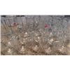 Image 3 : Beer Glassware Lot Including Budweiser and Stout Beer Glasses