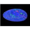 2.34ct Australian Black Opal Doublet Full Fire (GEM-23063C)