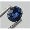 .59ct Outstanding Royal Blue Sapphire (GEM-18288)