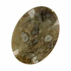 56.22ct Natural Untreated Australian Jasper Oval Cabochon (GEM-20767)