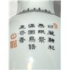 Image 3 : Chinese Porcelain Bird and Floral Baluster Vase