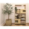 Image 1 : Brand New - Brand New 4 Cats & Dogs Clifford Pet Shelf & Bookshelf