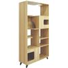 Image 3 : Brand New - Brand New 4 Cats & Dogs Clifford Pet Shelf & Bookshelf