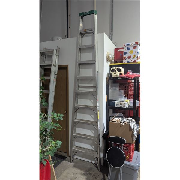 Eagle Ten Step Ladder