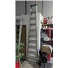 Image 1 : Eagle Ten Step Ladder