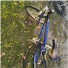 Image 5 : Mountain Bikes: Schwinn 240-DSR and Norco Wolverine