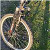 Image 7 : Mountain Bikes: Schwinn 240-DSR and Norco Wolverine