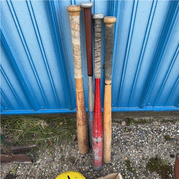 Baseball Bats and Mixed Sports Balls Lot