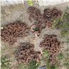 Image 1 : Five Piles of Heavy Rusted Metal Chains and Hooks