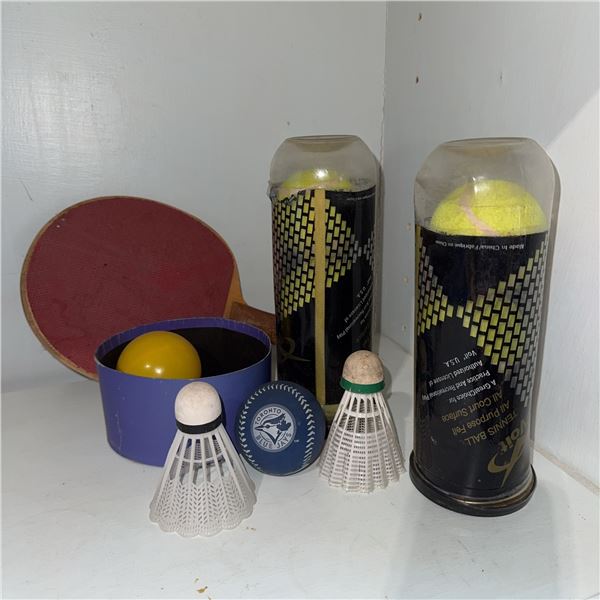 Sports Lot with Tennis Balls, Badminton Birdies, Ping Pong Paddle and Ball, Baseball